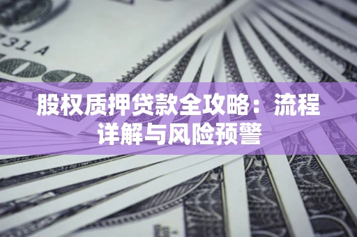 武汉股权质押贷款全攻略：流程详解与风险预警