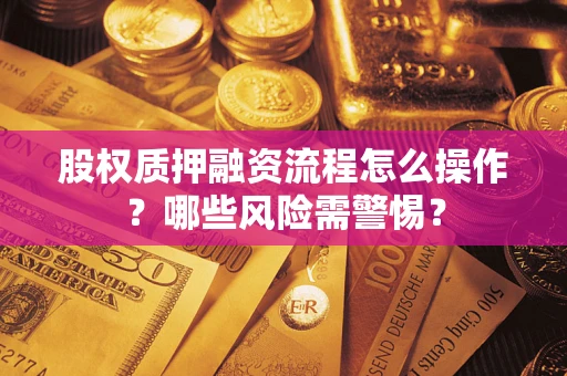 武汉股权质押融资流程怎么操作？哪些风险需警惕？