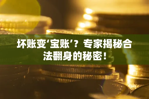 武汉坏账变‘宝账’？专家揭秘合法翻身的秘密！