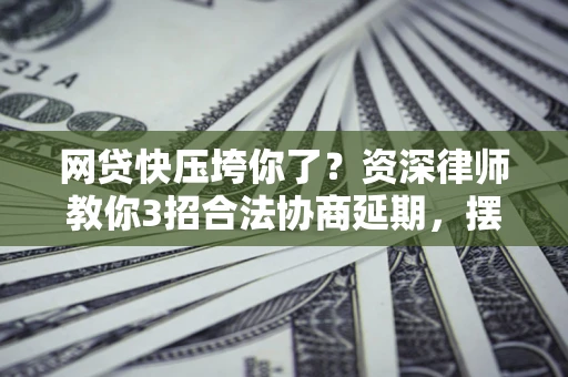 武汉网贷快压垮你了？资深律师教你3招合法协商延期，摆脱暴力催收！