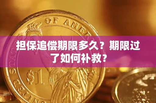 武汉担保追偿期限多久？期限过了如何补救？