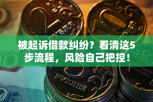 武汉被起诉借款纠纷？看清这5步流程，风险自己把控！