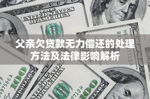 武汉父亲欠贷款无力偿还的处理方法及法律影响解析