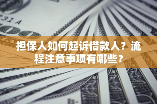 武汉担保人如何起诉借款人？流程注意事项有哪些？